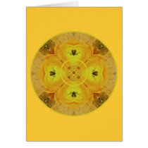 Sunny Dayz Solar Plexus Chakra cards
