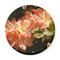 Sunny Delight magnets by AryadnaDesign Sunny Delight magnets