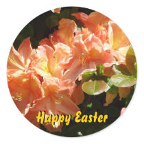 Sunny Delight stickers