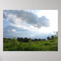 Sunny Field Print