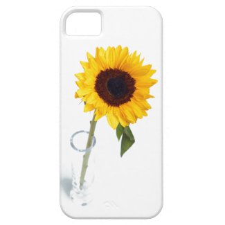 Sunny floral bright Sunflower flower photograph