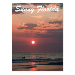 Sunny Florida Post Card