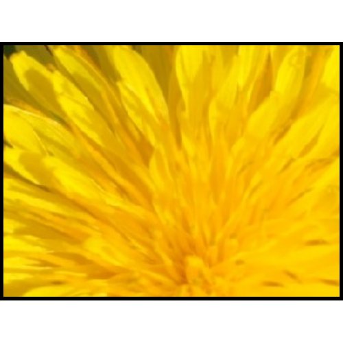 Sunny Flower stamp