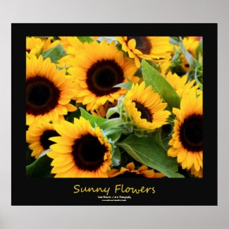 Sunny Flowers Black Borders Poster