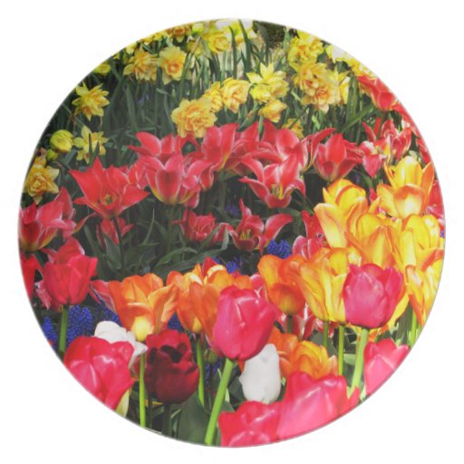 Sunny Garden Dinner Plate