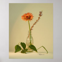 Sunny Gerbera Flower Print
