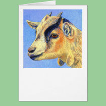 "Sunny Goat" - Pygmy Goat Card cards
