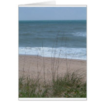Sunny Greetings from Florida Cards