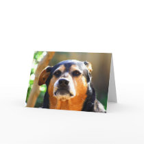 Sunny Grim-face Greeting Card