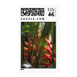 Sunny Hawaiian Heliconia