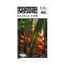Sunny Hawaiian Heliconia postage