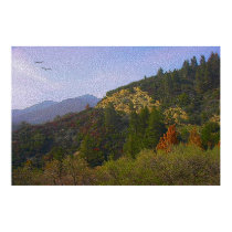 Sunny Hillside