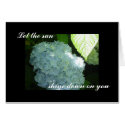 Sunny hydrangea -blank card by seashell2 Sunny hydrangea -blank card