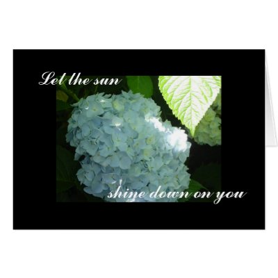 Sunny hydrangea -blank card by seashell2