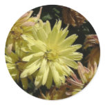 Sunny Impressions Round Stickers