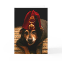 Sunny in a Fez - Greeting Card (blank inside)
