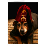 Sunny in a Fez - Greeting Card (blank inside)