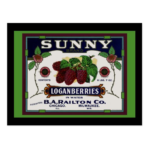 Sunny Loganberry Fruit Post Cards
