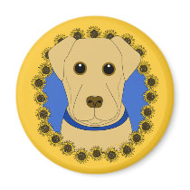 Sunny magnets
