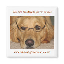 Sunny Magnet - Sunshine Golden Retriever Rescue...