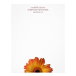 Sunny Orange gerbera daisy flower bloom personal Customized Letterhead