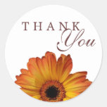 Sunny Orange gerbera daisy flower thank you Sticker
