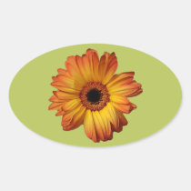 Sunny Orange gerbera flower bloom stickers