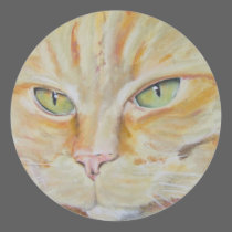 Sunny Orange Tabby Cat Sticker stickers