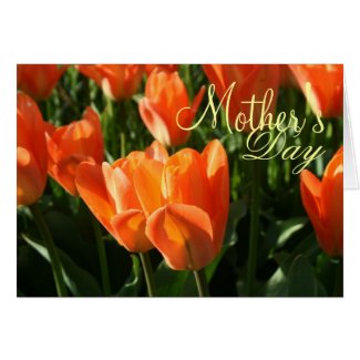 Sunny Orange Tulips Mother's Day Greeting Card