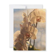 Sunny Orchid invitations