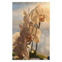 Sunny Orchid stationery by jillyjolly2 Sunny Orchid stationery
