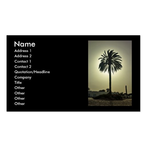 Sunny Palm Business Card (front side)