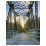Sunny Path Custom Letterhead