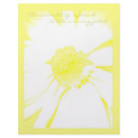 Sunny Petal Stationery Letterhead Design