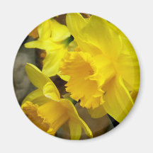 Sunny Petals Magnets