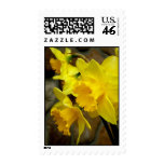 Sunny Petals Postage