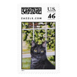 "Sunny" postage