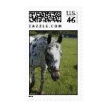 Sunny postage