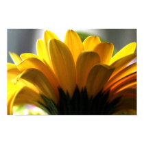 Sunny posters by kimboj1 Sunny posters