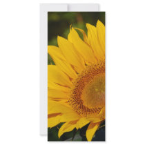 Sunny rack cards