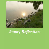 Sunny Reflection t-shirts