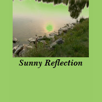 Sunny Reflection t-shirts