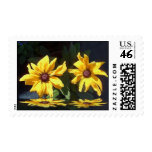 SUNNY REFLECTIONS... postage