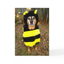 Sunny 'Saddest Bee' Greeting Card