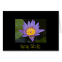 Sunny Side Up cards
