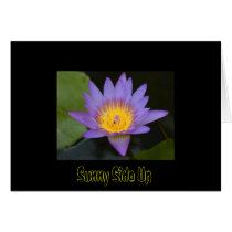 Sunny Side Up cards by awakeninghearts Sunny Side Up cards