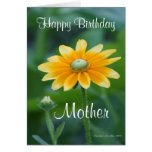 Sunny Side Up cards