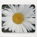 Sunny side up mousepads