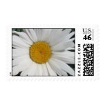 Sunny side up postage stamp