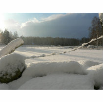 Sunny Snowy Fields photo sculptures